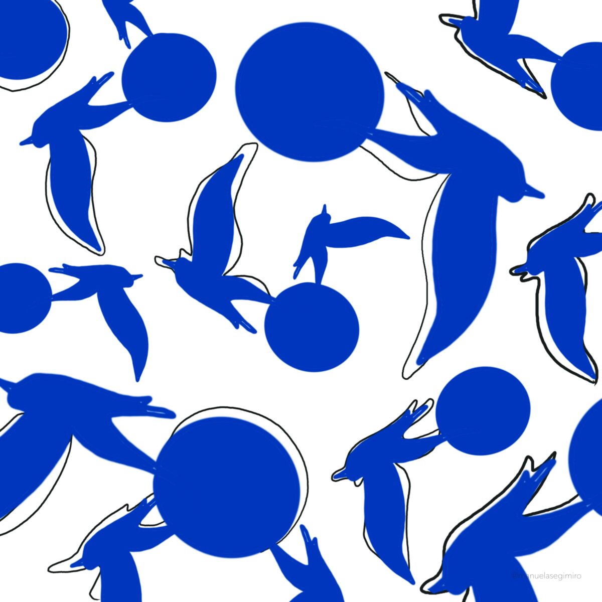 2023_Gabbiani-IMG_0955