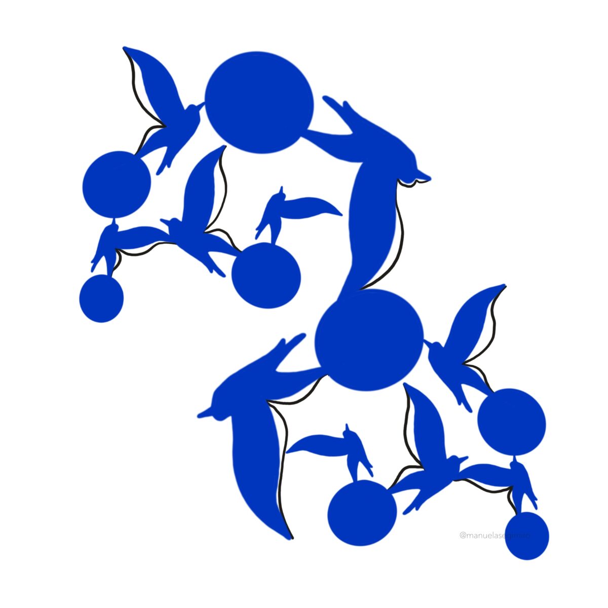 2023_Gabbiani-IMG_0958